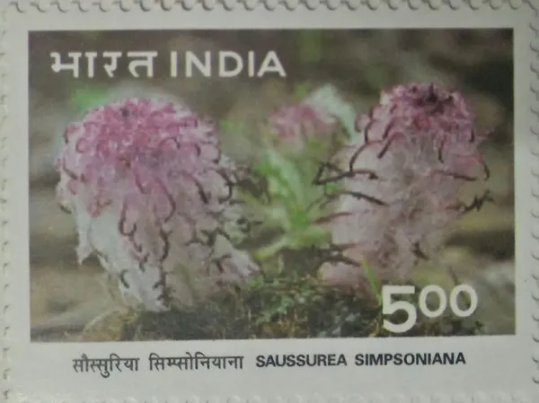 India_-_Himalayan_Ecology,_Meconopsis_horridula,_Himalayan_poppy-_MNH_Stamp_-_Pack_of_2
