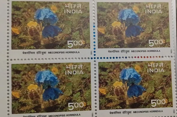 India_1996_-_Himalayan_Ecology_-_Meconopsis_horridula_-_-_Block_of_Four_-_MNH