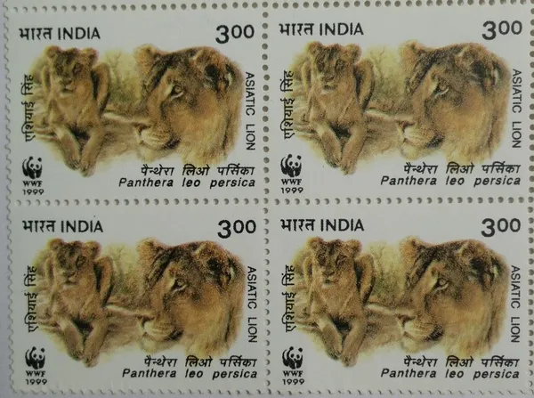 India_-_1999_-_Asiatic_Lion_Panthera_Leo_Persica_Thematic_(Block_of_4_stamp)_-_MNH