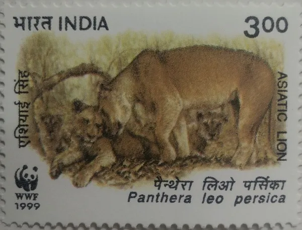 India_-_1999_-_Asiatic_Lion_Panthera_Leo_Persica_Thematic_Rs._3-_MNH_Stamp
