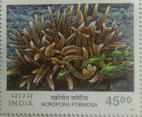 India_-_2001_-_Corals_of_India,_Staghorn_Coral_Acropora_Formosa-MNH_Stamp