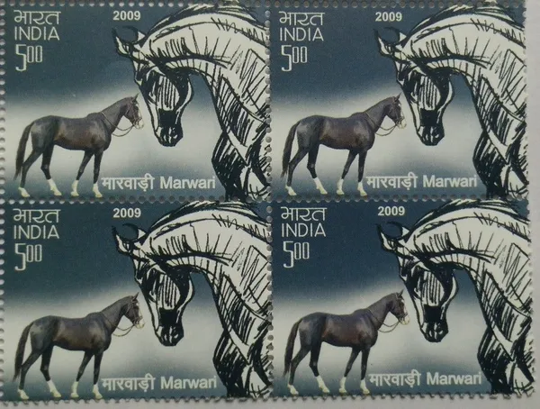 India_-_2009_-_Indigenous_Horses_of_India_Thematic_Marwari_(Block_of_4_stamp)_-_MNH