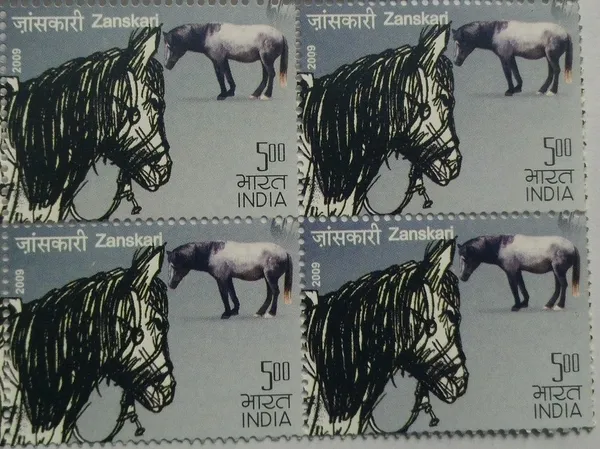 India_-_2009_-_Indigenous_Horses_of_India_Thematic_Zanskar_(Block_of_4_stamp)_-_MNH