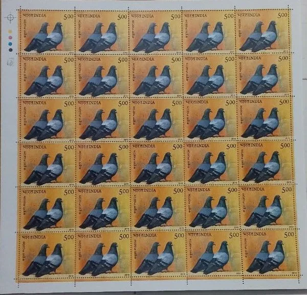 India_-_2010_-_Pigeon_Thematic-_MNH_(Stamp_Full_Sheets_-30_Stamps)