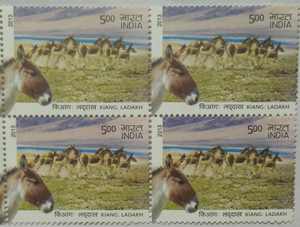 India_-_2013_-_Wild_Ass_of_Kutch_Ladakh_-_Kiang:_Ladakh_Kiang,_Equus_Kiang,_Wild_Ass_(Block_of_4_stamp)_-_MNH_-_Pack_of_2