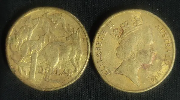 Australia_-_Australian_1_dollar_coin_1994_1$_Used