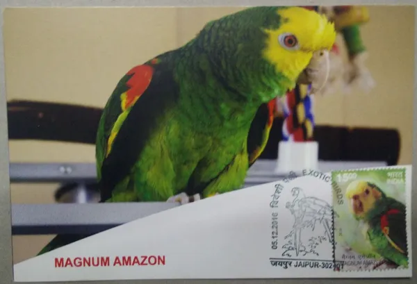 Magnum_Amazon_Maximum_Card_(Stamp_issue:_2016;_face_value:_)_-_Pack_of_3
