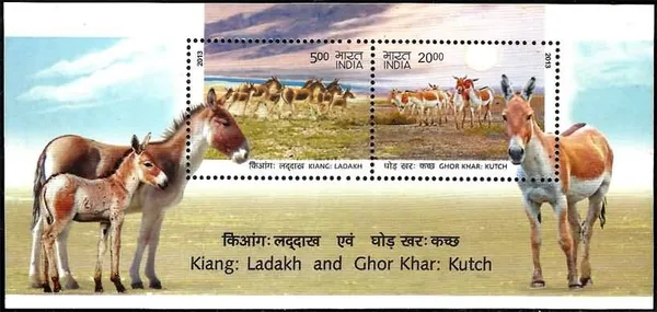 India_-_Kutch_Wild_Asses_-_2013_(Indian_Miniature_Sheets)_-_Stamp_-_MNH_-_Pack_of_3