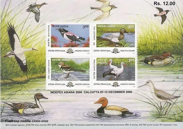 India_-_Indepex_Asiana_2000_Asian_International_Philatelic_Exhibition_-_24_May_2000_(Indian_Miniature_Sheets)_-_Stamp_-_MNH