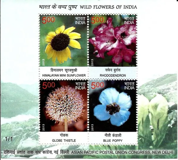 India_-_Wild_Flowers_-_2013_(Indian_Miniature_Sheets)_-_Stamp_-_MNH