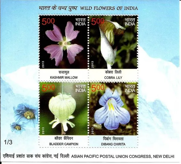 India_-_Wild_Flowers_-_2013_(Indian_Miniature_Sheets)_-_Stamp_-_MNH