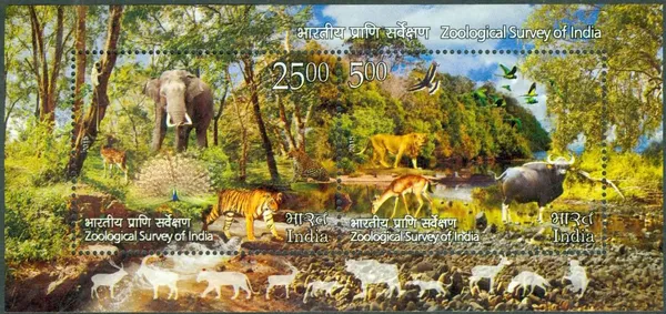 India_-_Zoological_Survey_of_India_-_2015_(Indian_Miniature_Sheets)_-_Stamp_-_MNH_-_Pack_of_2