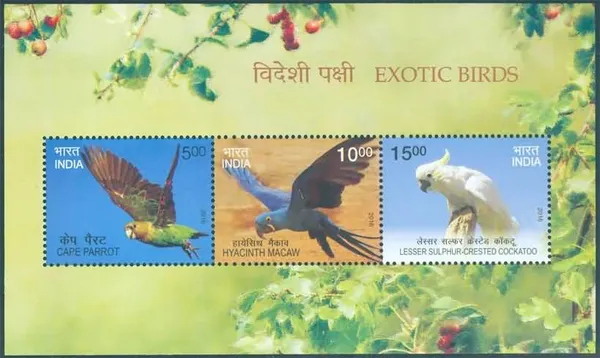 India_-_Exotic_Birds_-_2016_(Indian_Miniature_Sheets)_-_Stamp_-_MNH