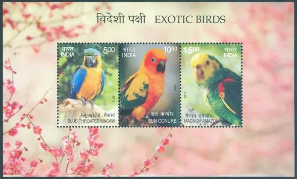 India_-_Exotic_Birds_-_2016_(Indian_Miniature_Sheets)_-_Stamp_-_MNH