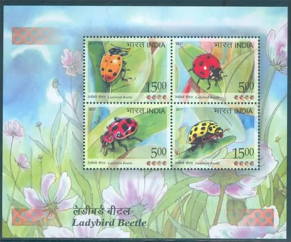 India_-_Ladybird_Beetle_-_2017_(Indian_Miniature_Sheets)_-_Stamp_-_MNH