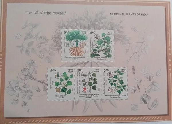 India_-_Medicinal_Plants_Of_India_2025_(Pms)_-_Stamp_-_Miniature_Sheet_-_MNH_-_Pack_of_3
