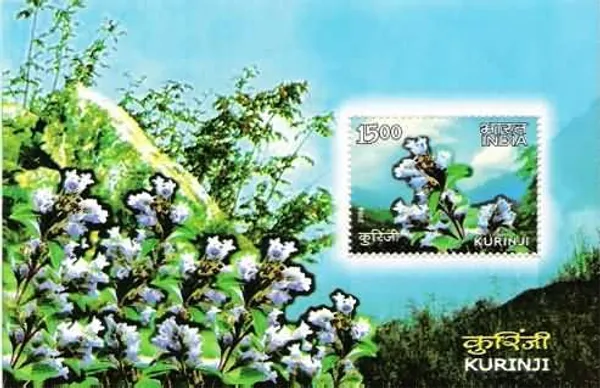 India_-_2006_-_Kurinji_-_Miniature_Sheet_-__-_MNH
