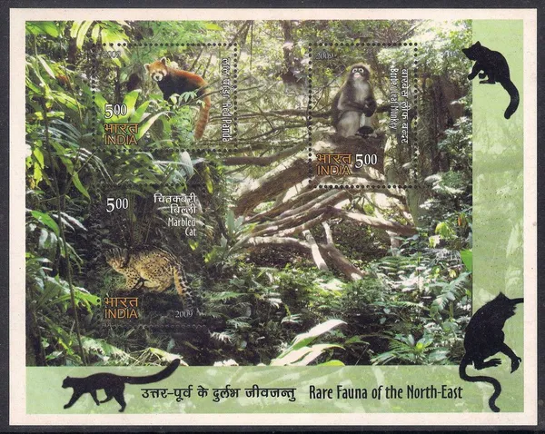 India_-_Rare_Fauna_Of_The_North_East_2009_(Indian_Miniature_Sheets)_-_Stamp_-_MNH