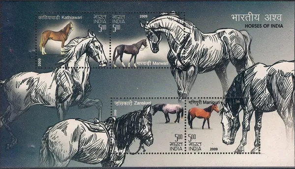 India_-_Horses_of_India_-_2009_(Indian_Miniature_Sheets)_-_Stamp_-_MNH