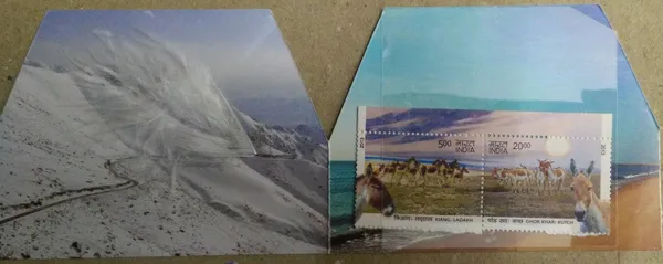 India_-_2013_-_Kiang._Ladakh_And_Ghor_Khar_Kutch_Wild_Asses_Presentation_Pack_-_Stamp_-_MNH