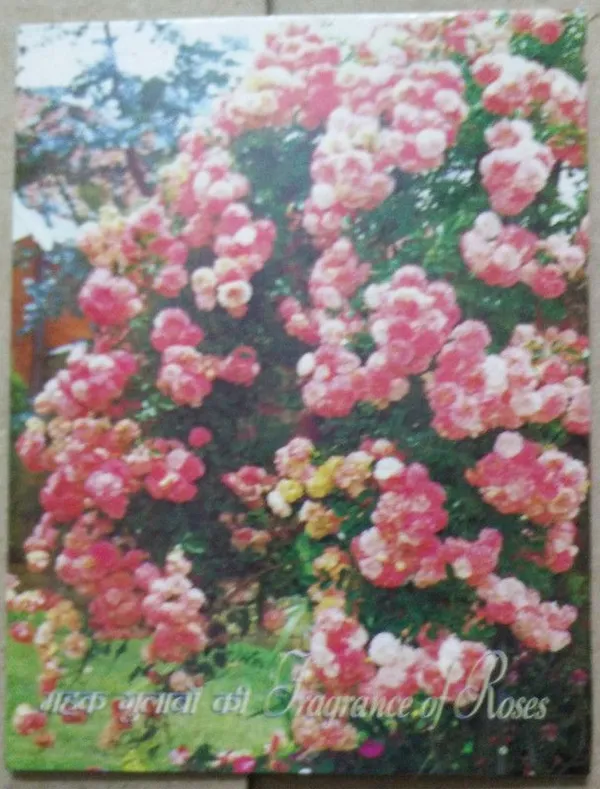 India_-_2007_-_Fragrance_Of_Roses_Presentation_Pack_-_Stamp_-_MNH