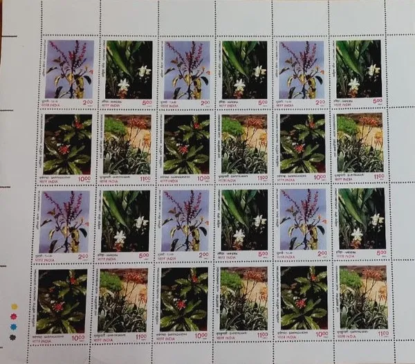 India_-_1997_-_Medicine_Plants_(Indian_Se-Tenants_Full_sheet)_-_Stamp_-_MNH_(Face_values:_/_/__/_Rs._11)