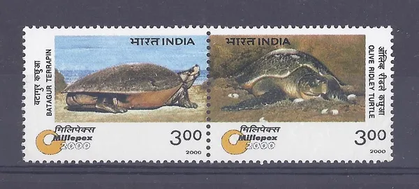 India_-_2000_-_Turtles_(Indian_Se-Tenants)_-_Stamp_-_MNH_(Face_value:_Rs._3)_-_Pack_of_2