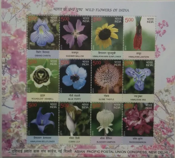India_-_Wild_Flower_(Sheetlets)_-_Stamp_-_MNH