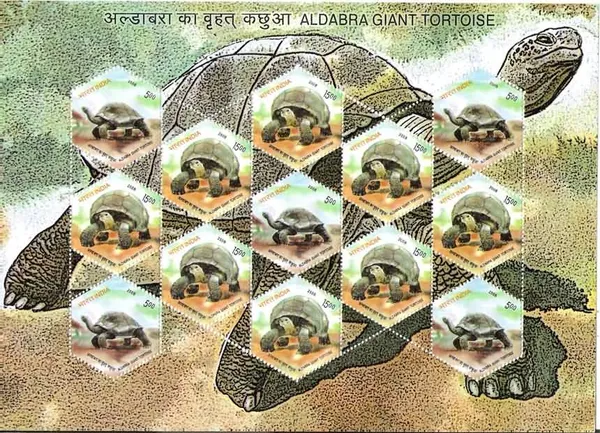 India_-_Aldabra_Giant_Tortoise_(Sheetlets)_-_Stamp_-_MNH