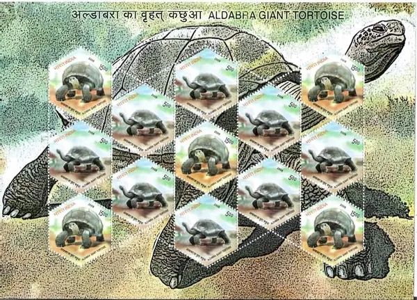 India_-_Aldabra_Giant_Tortoise_(Sheetlets)_-_Stamp_-_MNH