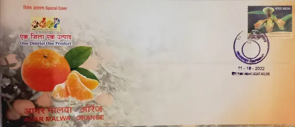 INDIA_-_Special_Cover_-_11-10-2022_-_Agar_Malwa_Orange_-_Pack_of_3