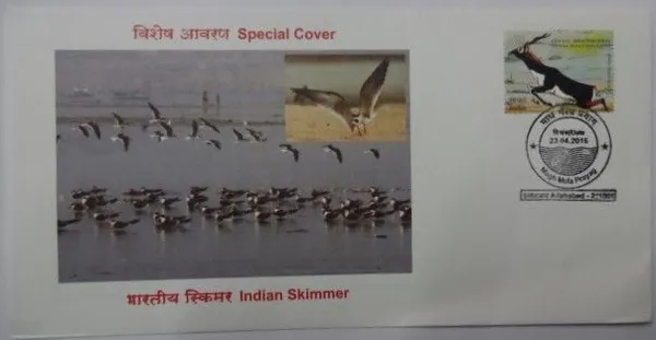 INDIA_-_Special_Cover_-_23-04-2016_-_Indian_Skimmer_-_Pack_of_3