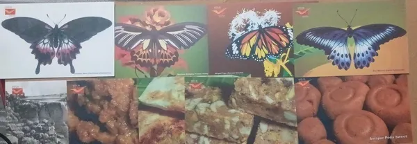IKSHUPEX_2025_Set_of_9_POSTCARDS-_BELAGAVI_SWEETS-BUTTERFLIES-GOKAK_FALLS_-_Maximum_Card