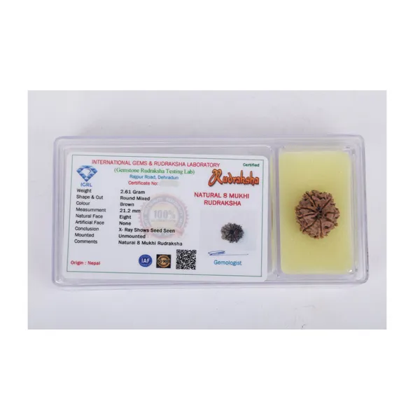 8_Mukhi_Nepali_Rudraksha