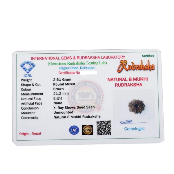 8_Mukhi_Nepali_Rudraksha