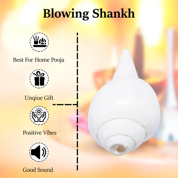 Natural_Blowing_Shankh