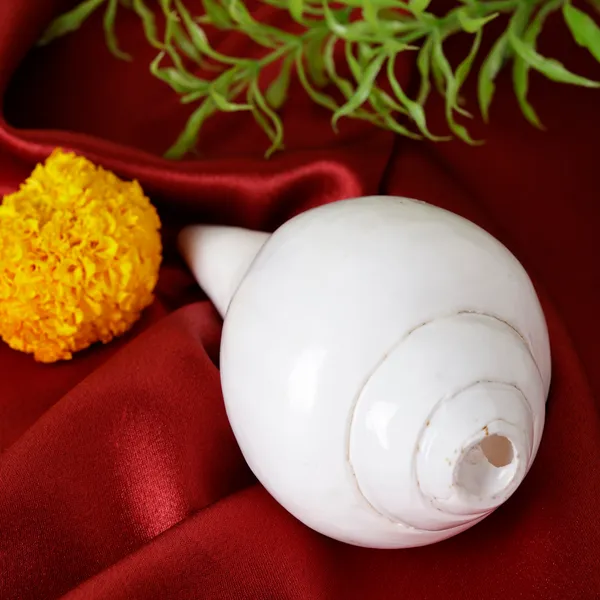 Natural_Blowing_Shankh