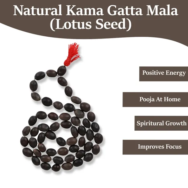 Natural_Kamal_Gatta_Mala_Lotus_Seed_108_Seeds