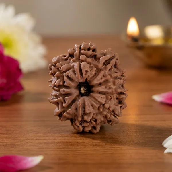 10_Mukhi_Nepali_Rudraksha