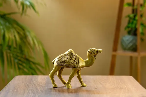 Gold_Brass_Camel_Showpiece_For_Home_Decor