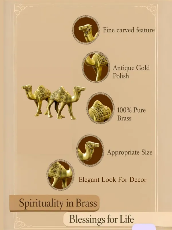 Gold_Brass_Camel_Showpiece_For_Home_Decor