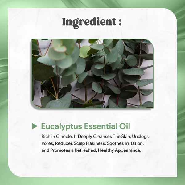 Premium_Eucalyptus_Oil_Pure_Natural_For_Diffuser_And_Skin_And_Hair_Use