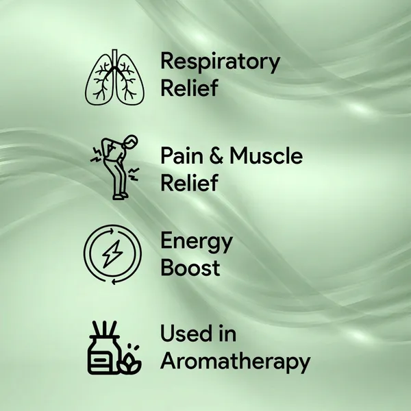 Premium_Eucalyptus_Oil_Pure_Natural_For_Diffuser_And_Skin_And_Hair_Use