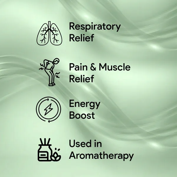 Pure_Eucalyptus_Oil_And_30Ml