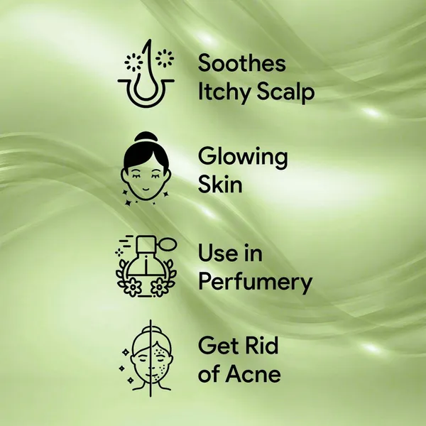 Rosemary_Water_For_Thick_Hair_And_Hair_Fall_Control