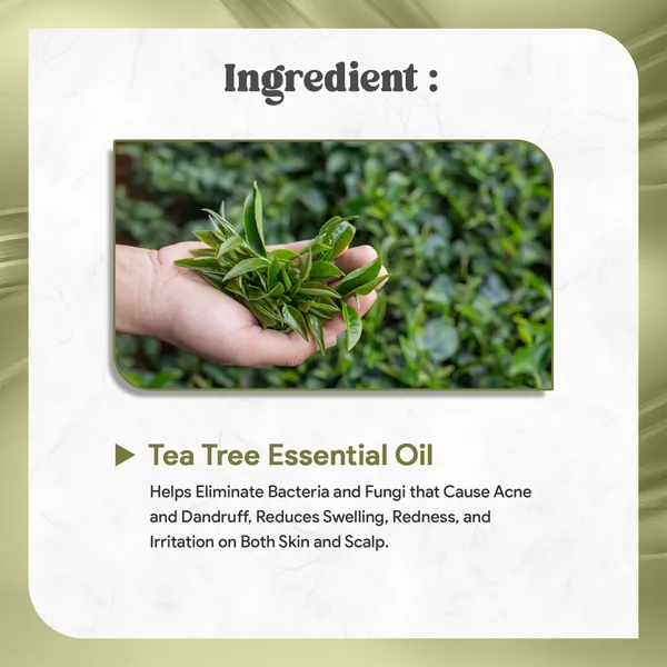 Tea_Tree_Essential_Oil_Pure_And_Natural_And_Anti_Acne_And_Aromatherapy