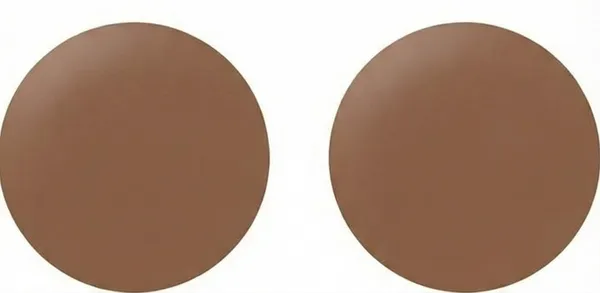 Alyne_Nipple_Covers_For_Women_-_Reusable_Silicone_Pasties,_Waterproof_&_Seamless_Adhesive_Breast_Petals,_Invisible_No-Show_Sticky_Bra,_Washable_&_Soft_(1Pair_-_2Pcs)
