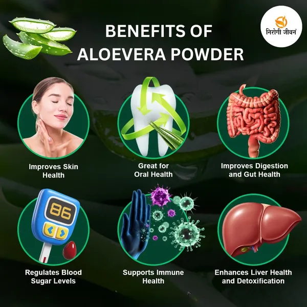 Nirogi_Jeevan_Aloe_Vera_Leaves_Powder_|Pure,_Natural_&_Organic_Grade_|_Edible_Grade_|_Alovera_(100_g)