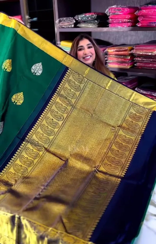 Banarasi_saree