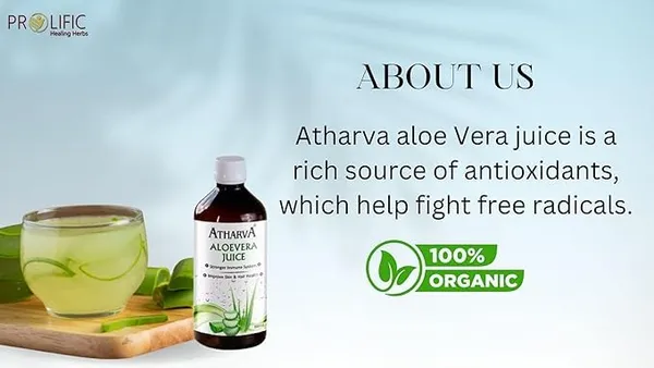 Pure_Aloe_Vera_Juice_Improves_Digestion_Improve_Immunity_Activates_Liver_And_Amla_Juice_I_Natural_Immunity_Booster_I_Vitamin_C_Rich_Health_Supplement_With_Digestive_Benefits_500Ml_Pack_Of_2